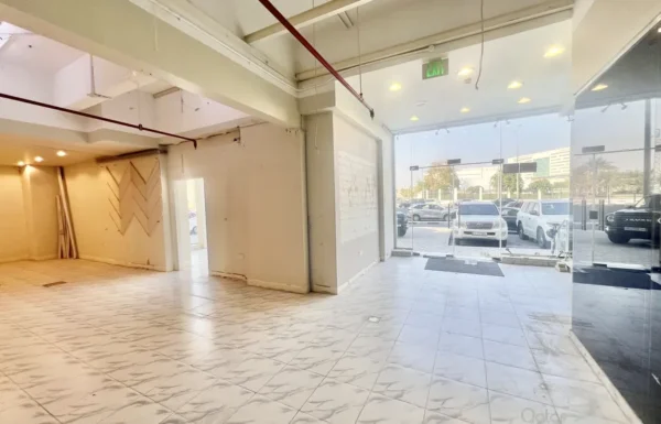 IMG_0364-1763203088204-180536000-9526_900x675