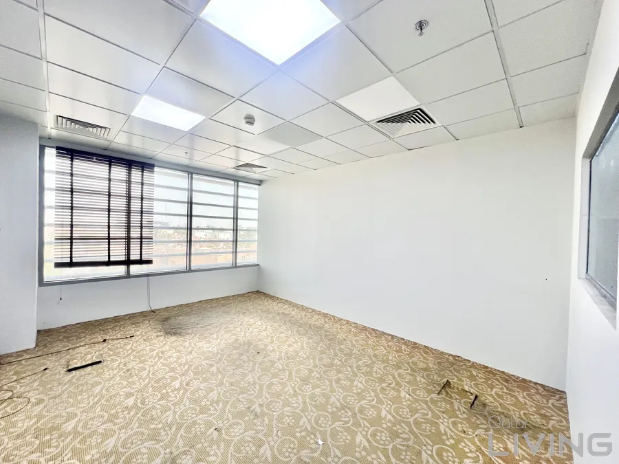 IMG_7688-1762072577631-2649210000-9609_900x675