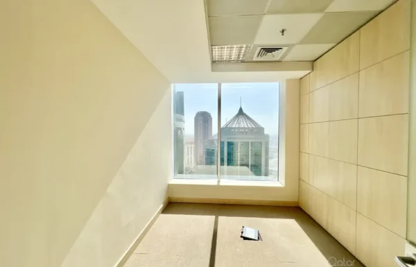 IMG_9895-1762034788172-1179108000-7178_900x675